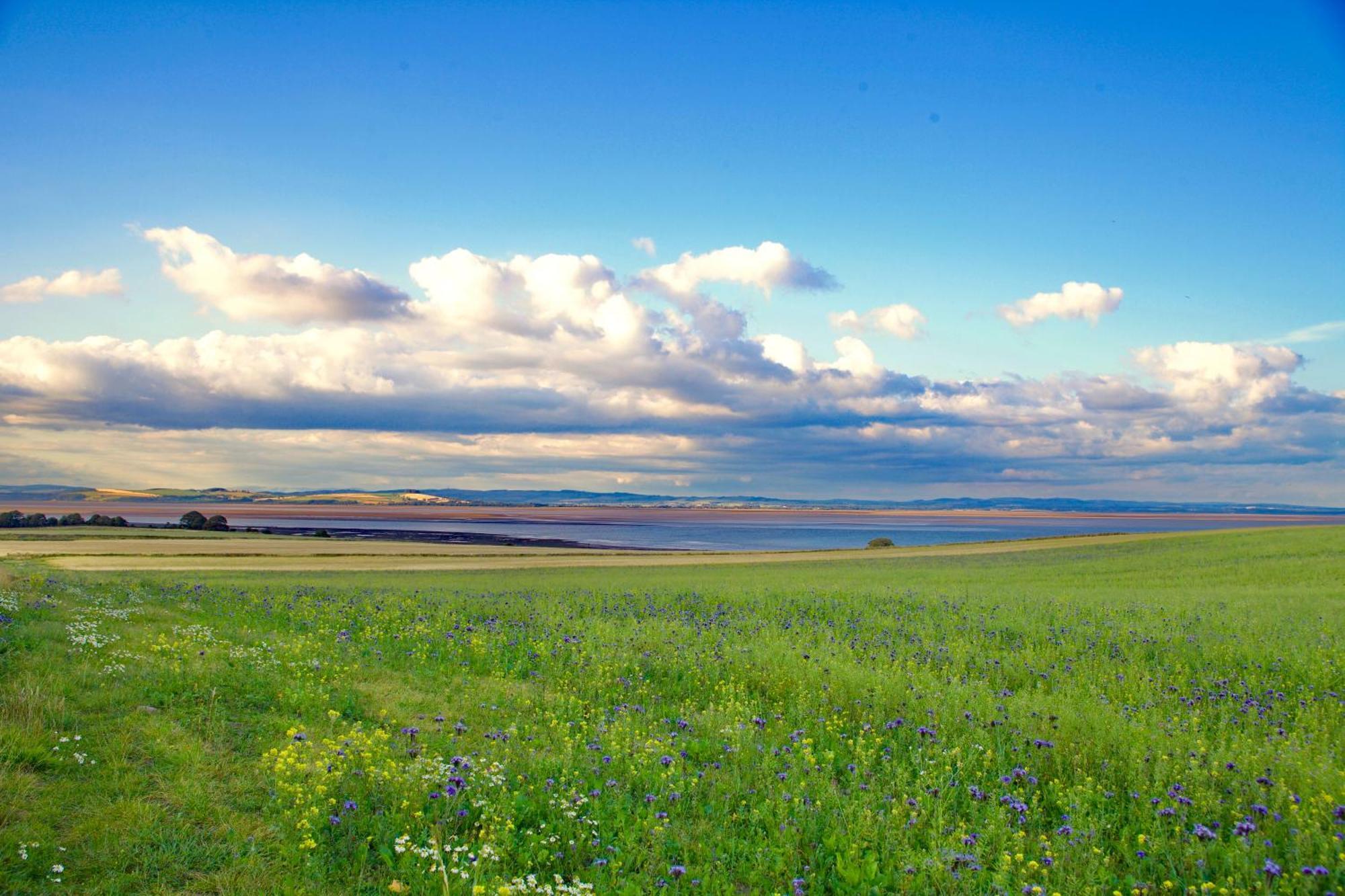 Powillimount Cottage Kirkbean Εξωτερικό φωτογραφία